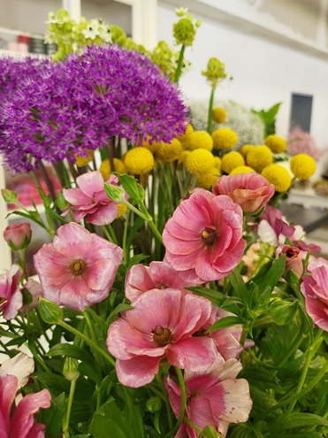 Sommer Blumen Hannover